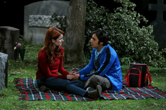 Imagen de The Big Bang Theory (T8): Ep.24 La determinación del compromiso - 10