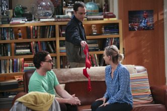 Imagen de The Big Bang Theory (T9): Ep.2 La oscilación de la separación - 6