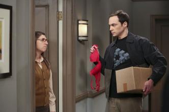 Imagen de The Big Bang Theory (T9): Ep.2 La oscilación de la separación - 7