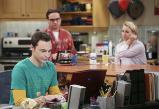 Imagen de The Big Bang Theory (T9): Ep.8 La observación de la cita misteriosa - 4