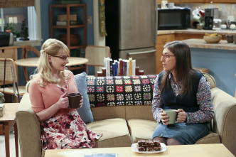 Imagen de The Big Bang Theory (T9): Ep.10 La reverberación de la melodía - 6