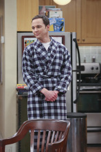 Imagen de The Big Bang Theory (T9): Ep.13 La optimización de la empatía - 3