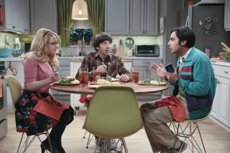 Imagen de The Big Bang Theory (T9): Ep.14 La materialización de la abuelita - 5
