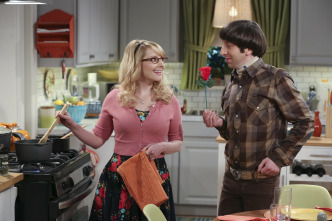 Imagen de The Big Bang Theory (T9): Ep.14 La materialización de la abuelita - 8