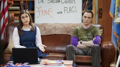 Imagen de The Big Bang Theory (T9): Ep.15 La inmersión de Valentino - 7