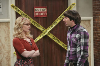 Imagen de The Big Bang Theory (T9): Ep.18 El deterioro de la soledad - 4