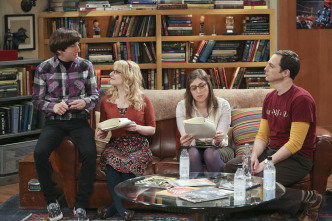 Imagen de The Big Bang Theory (T9): Ep.18 El deterioro de la soledad - 5