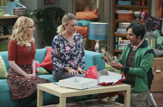 Imagen de The Big Bang Theory (T9): Ep.18 El deterioro de la soledad - 7