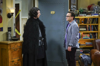Imagen de The Big Bang Theory (T9): Ep.21 La combustión de la fiesta televisiva - 6
