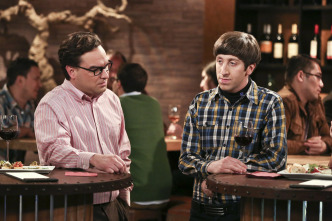 Imagen de The Big Bang Theory (T9): Ep.22 La fermentación de la bifurcación - 8