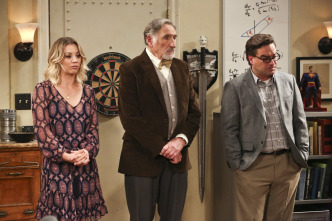 Imagen de The Big Bang Theory (T9): Ep.24 La convergencia de la convergencia - 4