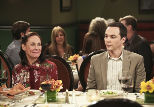 Imagen de The Big Bang Theory (T9): Ep.24 La convergencia de la convergencia - 7