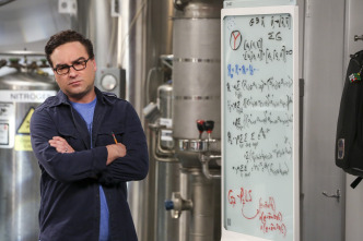 Imagen de The Big Bang Theory (T10): Ep.3 La trascendencia de la dependencia - 6