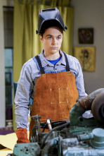 Imagen de The Big Bang Theory (T10): Ep.15 La reverberación de la locomoción - 3