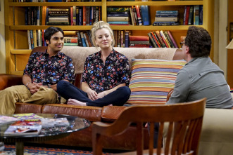 Imagen de The Big Bang Theory (T10): Ep.19 La fluctuación de la colaboración - 6