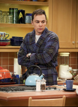 Imagen de The Big Bang Theory (T10): Ep.20 La disipación de los recuerdos - 1