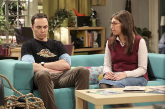 Imagen de The Big Bang Theory (T10): Ep.22 La regeneración de la cognición - 5