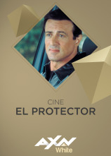 Imagen de El protector - 1