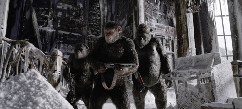 Imagen de (LSE) - La guerra del planeta de los simios - 15