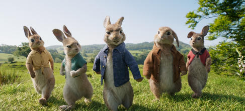 Imagen de Peter Rabbit - 6