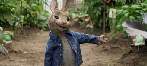 Imagen de Peter Rabbit - 9