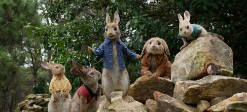 Imagen de Peter Rabbit - 11