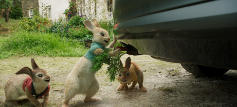 Imagen de Peter Rabbit - 14
