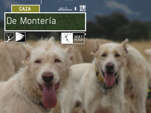 Imagen de De montería (T3) - 2