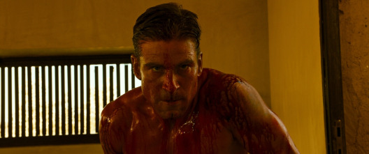 Imagen de Revenge - 10