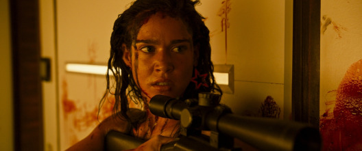 Imagen de Revenge - 12