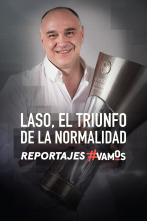Imagen de Laso, el triunfo de la normalidad - 1