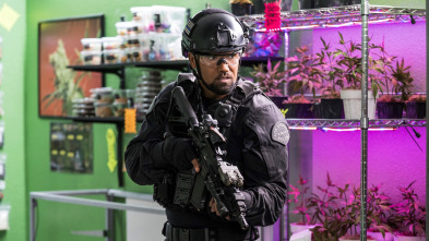 Imagen de S.W.A.T.: Los... (T1): Ep.9 Ángulos muertos - 1