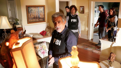 Imagen de Mentes criminales (T14): Ep.13 Camaleón - 1