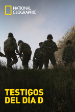Imagen de Testigos del Día D - 1