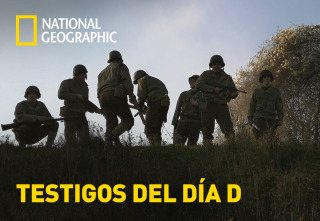 Imagen de Testigos del Día D - 2