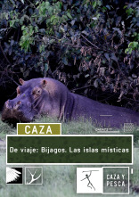 Imagen de De viaje: Bijagós, las islas místicas del Atlántico - 1
