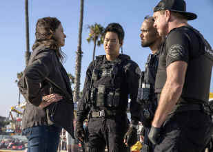 Imagen de S.W.A.T.: Los hombres de Harrelson (T3) - 5
