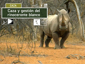 Imagen de Caza y gestión del rinoceronte blanco - 2