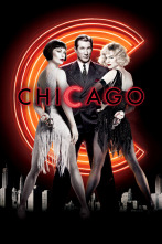 Imagen de Chicago - 3