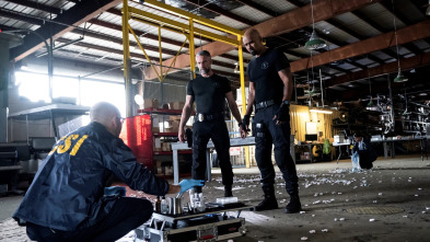 Imagen de S.W.A.T.: Los... (T3): Ep.12 Buen policía - 2