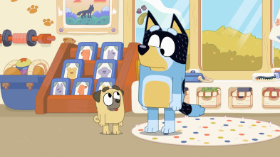 Imagen de Bluey (T1): César Conejo - 1