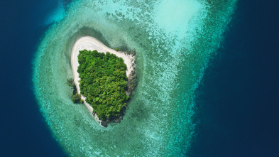 Imagen de Islas tropicales: Borneo - 5