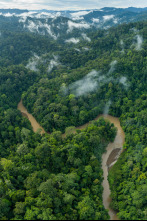Imagen de Islas tropicales: Borneo - 8