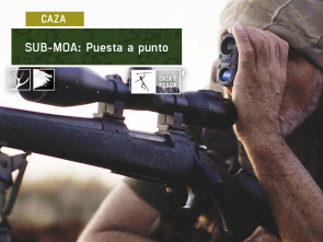 Imagen de Sub Moa (T1): Puesta a punto - 2