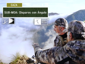 Imagen de Sub Moa (T1): Disparos con ángulo - 2