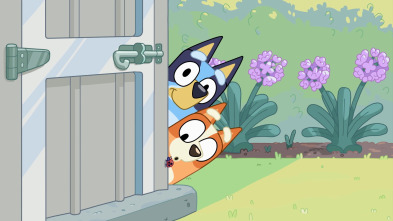 Imagen de Bluey (T1): Mariposas - 1