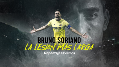 Imagen de Bruno Soriano, la lesión más larga - 2