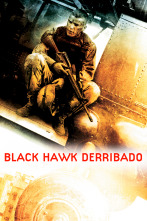 Imagen de Black Hawk derribado - 1