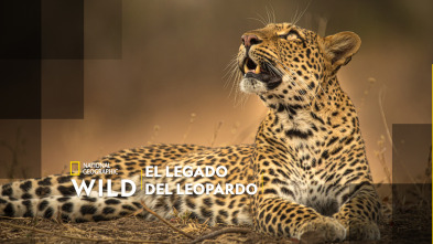 Imagen de El legado de la leoparda - 2