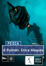 Imagen de A Pulmón (T1) - 7